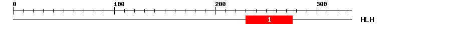Signature Domain