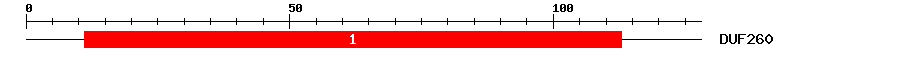 Signature Domain