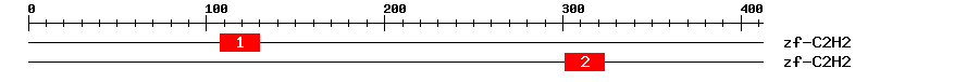 Signature Domain