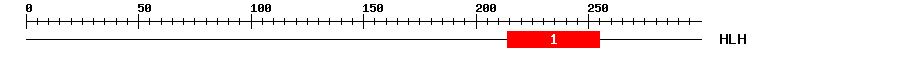 Signature Domain