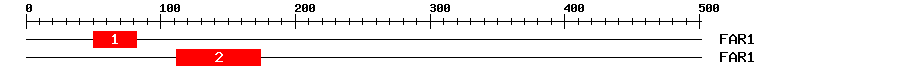 Signature Domain
