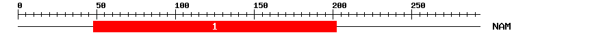 Signature Domain