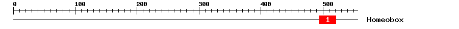 Signature Domain