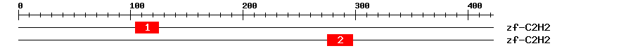 Signature Domain
