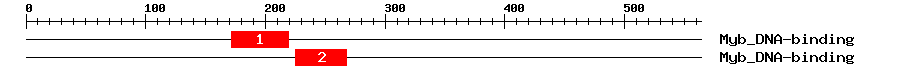 Signature Domain