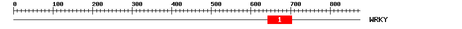 Signature Domain