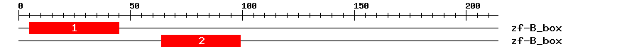 Signature Domain