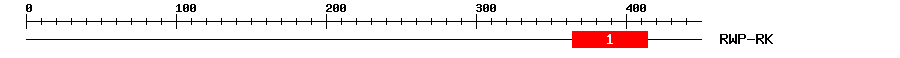 Signature Domain