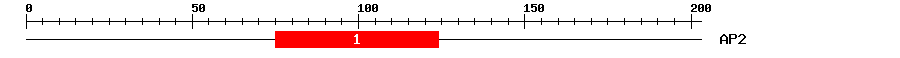 Signature Domain
