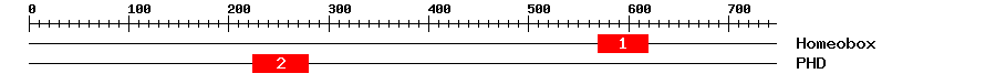 Signature Domain