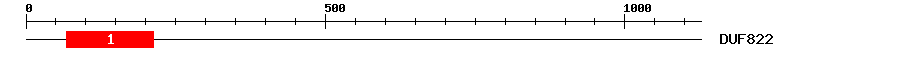 Signature Domain