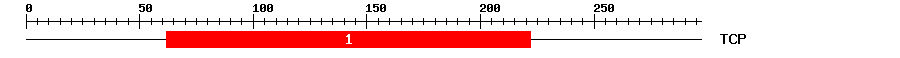 Signature Domain