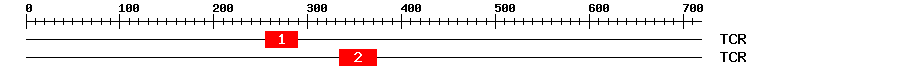 Signature Domain