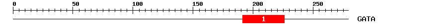 Signature Domain