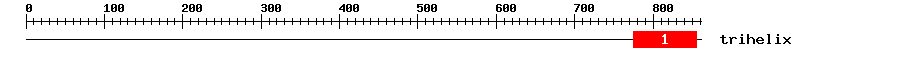 Signature Domain