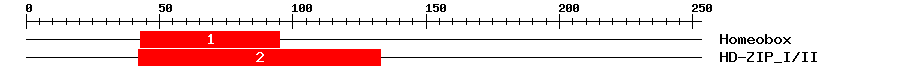 Signature Domain