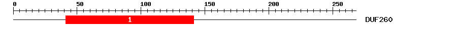 Signature Domain