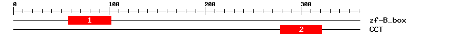 Signature Domain