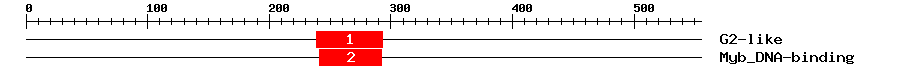 Signature Domain