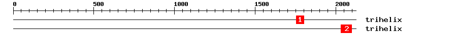 Signature Domain
