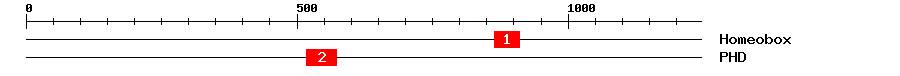 Signature Domain