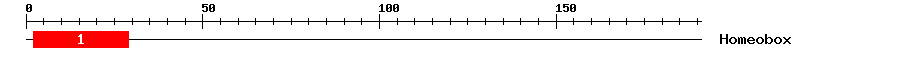 Signature Domain