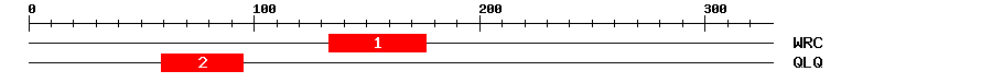 Signature Domain