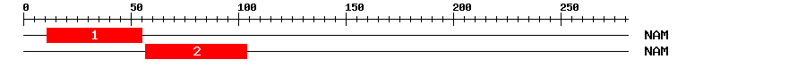 Signature Domain