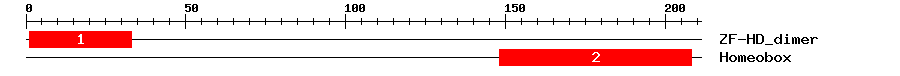 Signature Domain