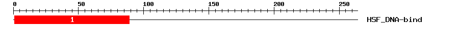 Signature Domain