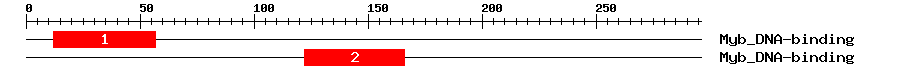 Signature Domain
