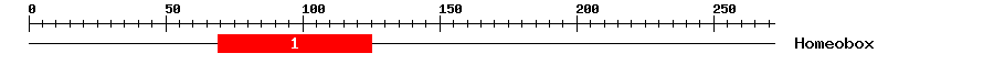 Signature Domain