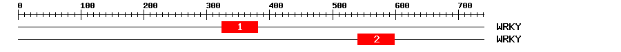Signature Domain