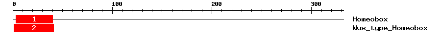 Signature Domain