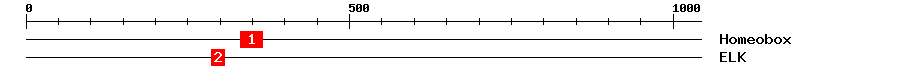 Signature Domain