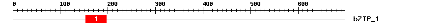 Signature Domain