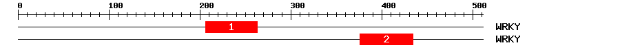 Signature Domain