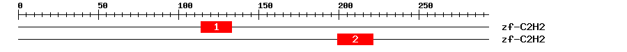 Signature Domain