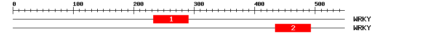 Signature Domain
