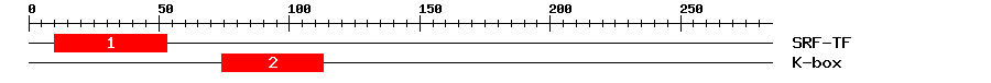 Signature Domain