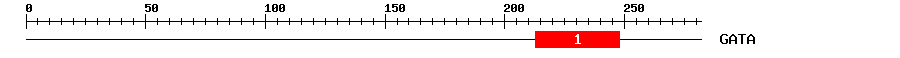 Signature Domain