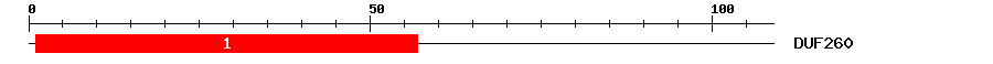 Signature Domain