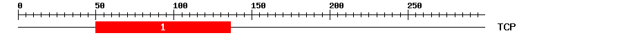 Signature Domain