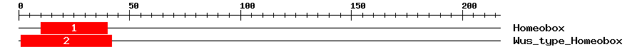 Signature Domain