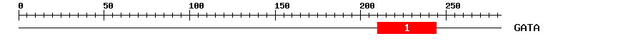 Signature Domain