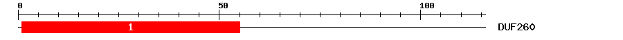Signature Domain