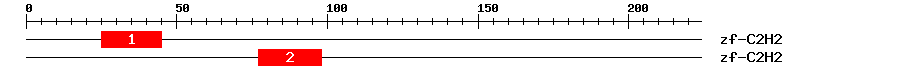 Signature Domain