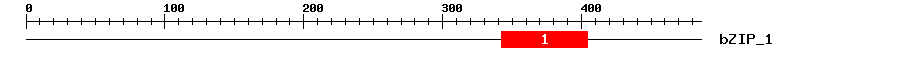 Signature Domain