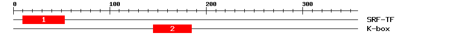 Signature Domain