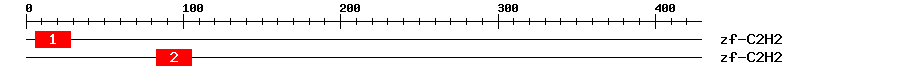 Signature Domain